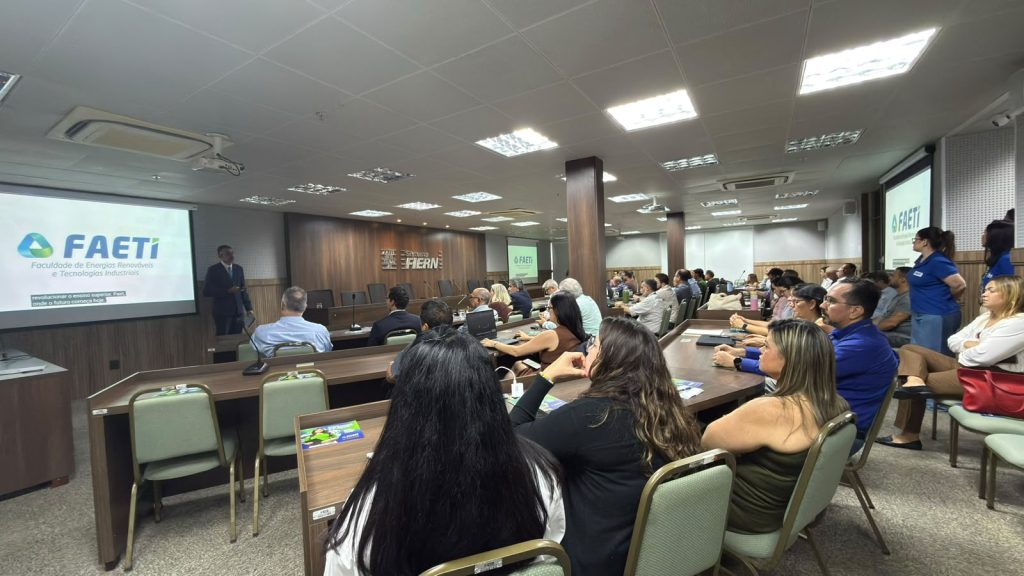 FIERN, SINDIMINERAIS-RN e SENAI debatem inovação e desenvolvimento do setor de minerais críticos no RN